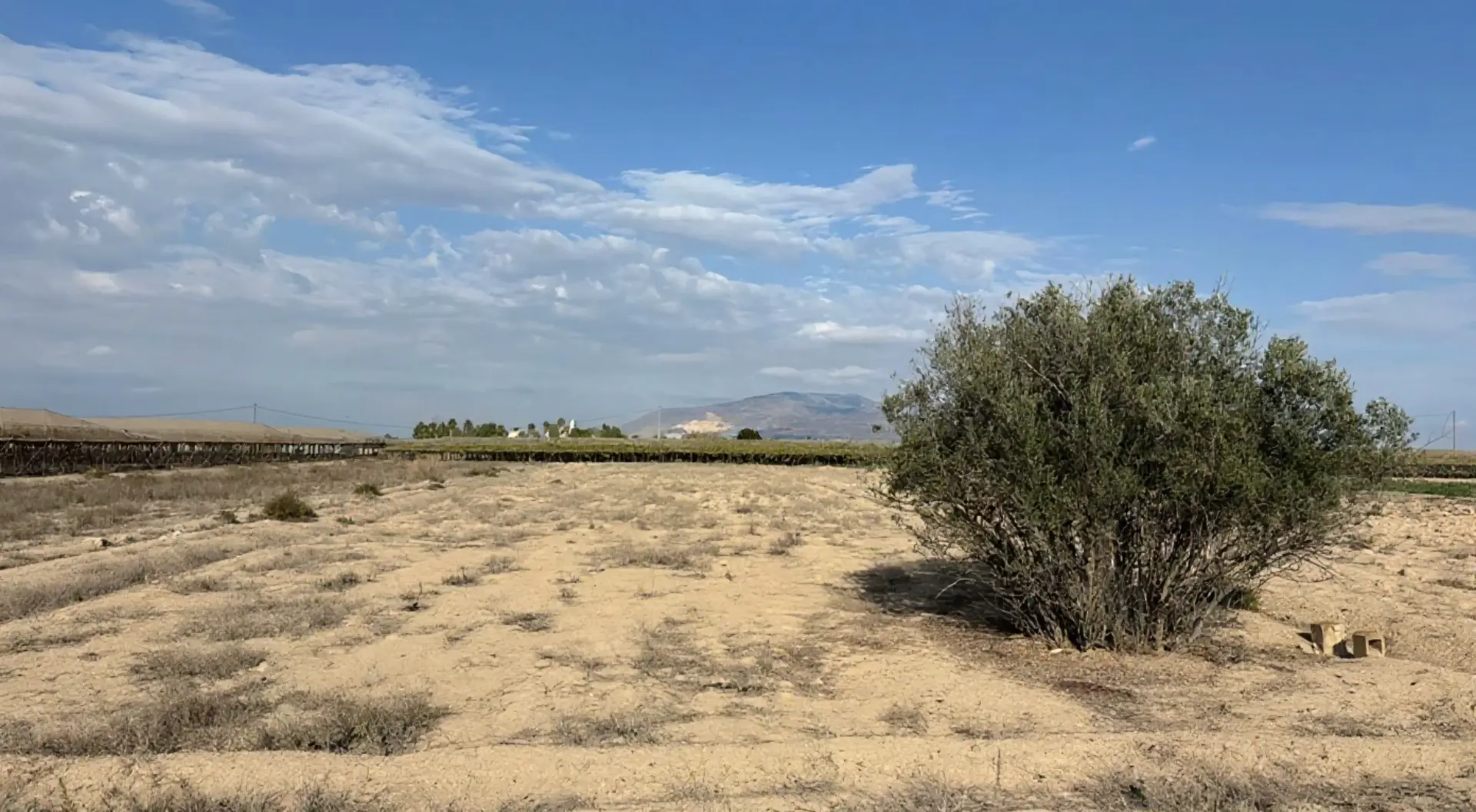 Antes - Parcela de terreno vacante con tierra y césped